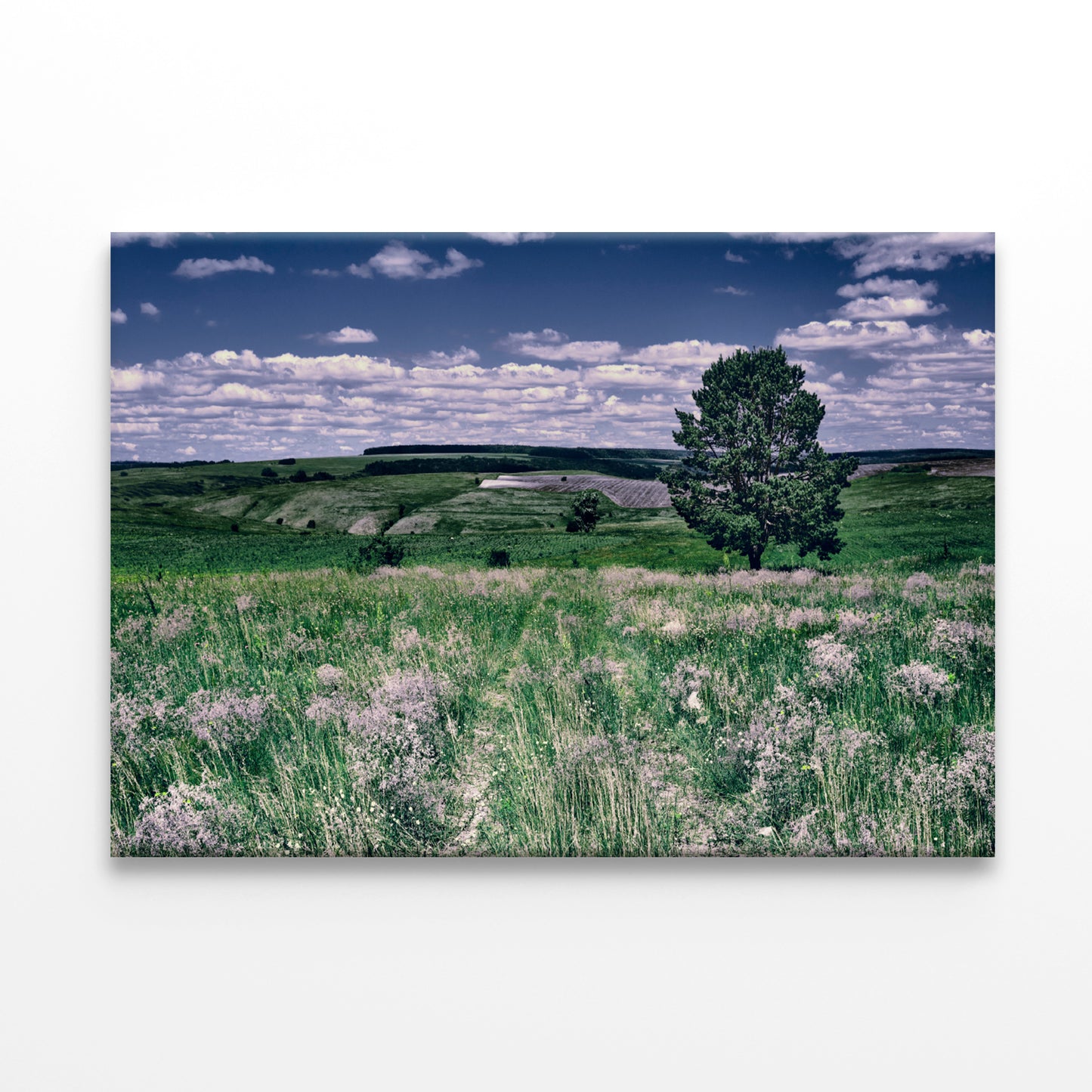 A Field Of Flowers with a Tree under a Sky Print 100% Australian Made