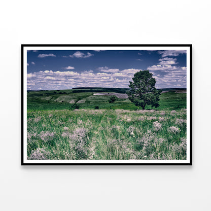 A Field Of Flowers with a Tree under a Sky Home Decor Premium Quality Poster Print Choose Your Sizes