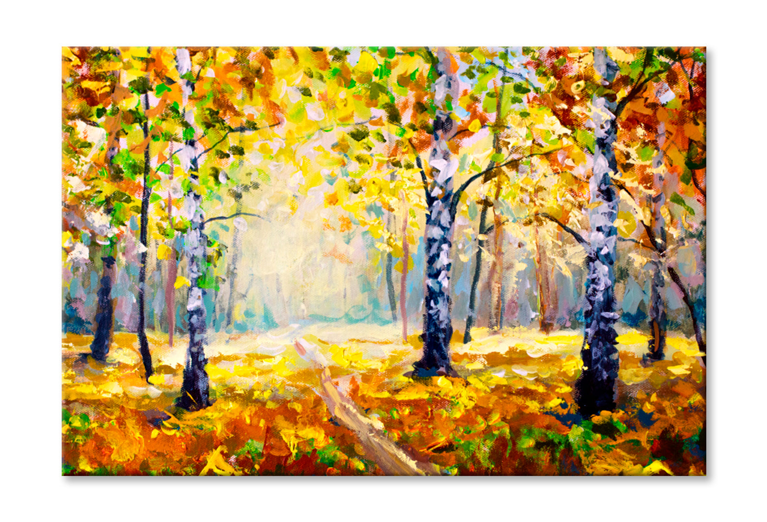 White Birch Trees In Autumn Forest Oil Painting Wall Art Limited Edition High Quality Print Stretched Canvas None