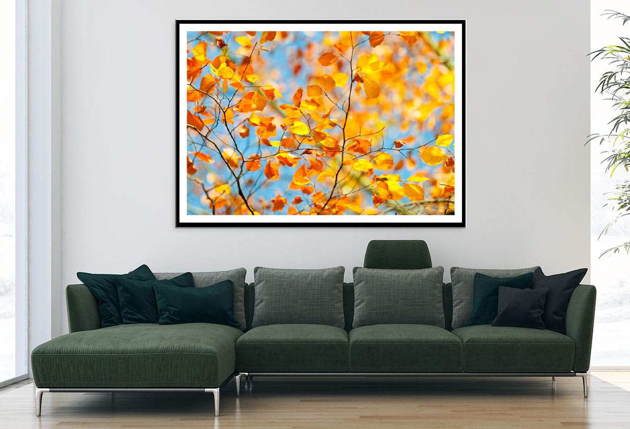 Golden Leaves on Branch Home Decor Premium Quality Poster Print Choose Your Sizes