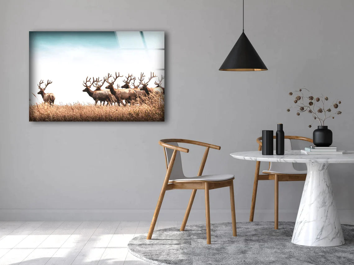 Deer Herd on Dry Grass UV Direct Aluminum Print Australian Made Quality