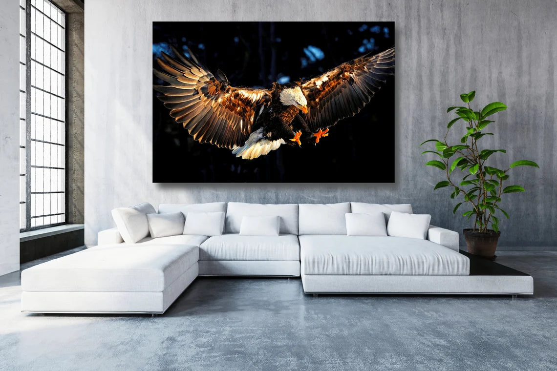 Eagle In Flight Wall Art UV Direct Aluminum Print Australian Made Quality