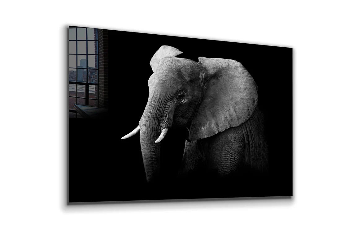 Elephant on Dark B&W UV Direct Aluminum Print Australian Made Quality