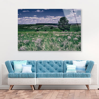 A Field Of Flowers with a Tree under a Sky Acrylic Glass Print Tempered Glass Wall Art 100% Made in Australia Ready to Hang