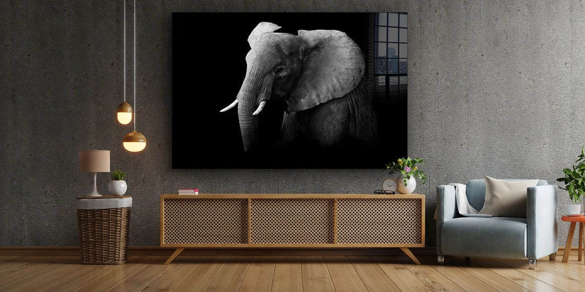 Elephant on Dark B&W UV Direct Aluminum Print Australian Made Quality