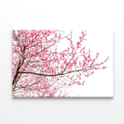 A Tree Full of Cherry Blossom Print 100% Australian Made