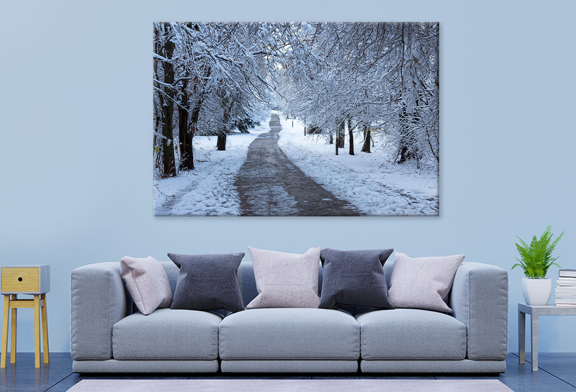 Winter Forest in South Park, Sofia Wall Art Decor 100% Australian Made
