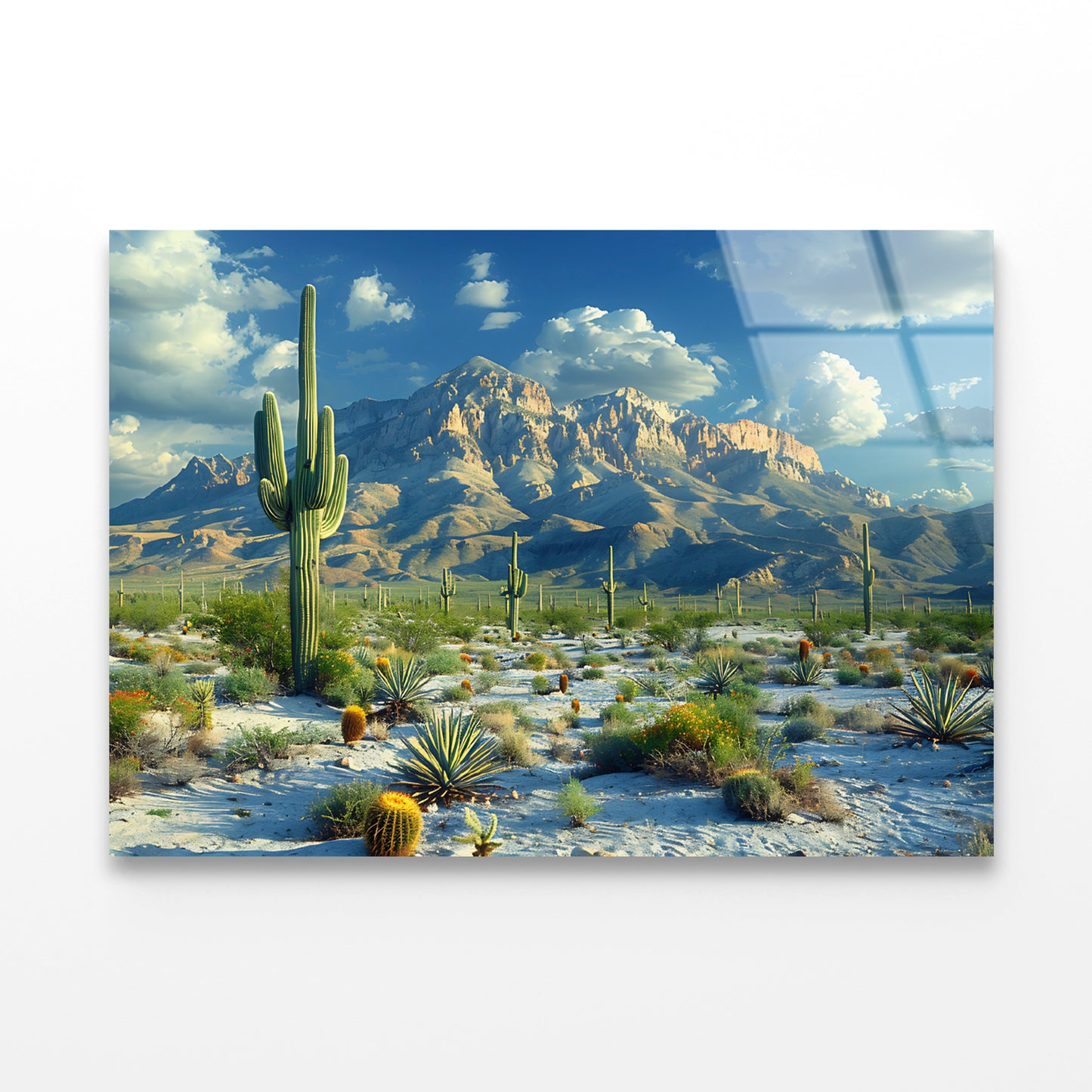 Cactus in the Desert Acrylic Glass Print Tempered Glass Wall Art 100% Made in Australia Ready to Hang