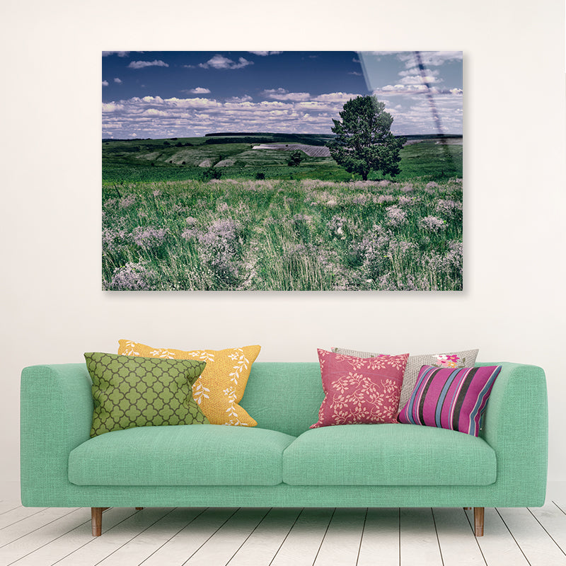 A Field Of Flowers with a Tree under a Sky Acrylic Glass Print Tempered Glass Wall Art 100% Made in Australia Ready to Hang