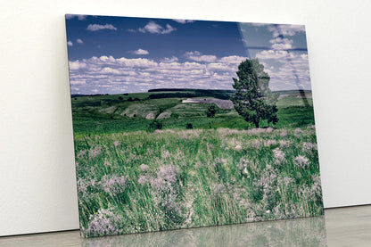 A Field Of Flowers with a Tree under a Sky Acrylic Glass Print Tempered Glass Wall Art 100% Made in Australia Ready to Hang