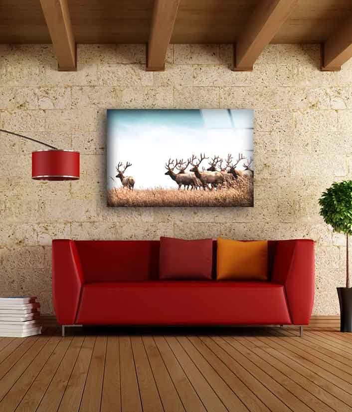 Deer Herd on Dry Grass UV Direct Aluminum Print Australian Made Quality