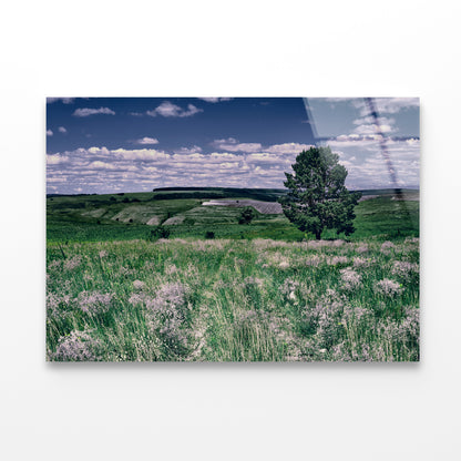 A Field Of Flowers with a Tree under a Sky Acrylic Glass Print Tempered Glass Wall Art 100% Made in Australia Ready to Hang