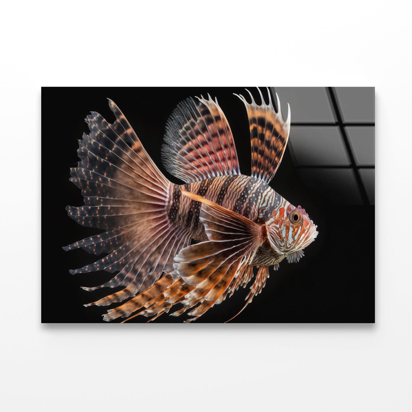 Close up Red Lionfish Acrylic Glass Print Tempered Glass Wall Art 100% Made in Australia Ready to Hang