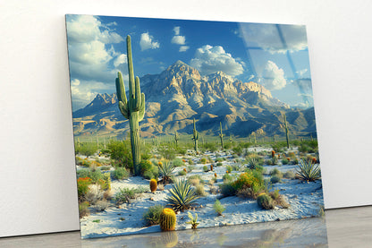 Cactus in the Desert Acrylic Glass Print Tempered Glass Wall Art 100% Made in Australia Ready to Hang