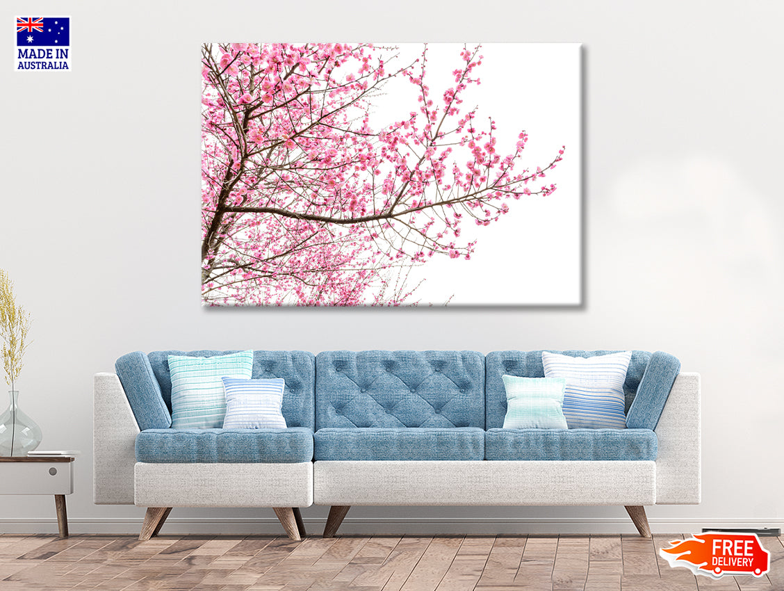 A Tree Full of Cherry Blossom Print 100% Australian Made