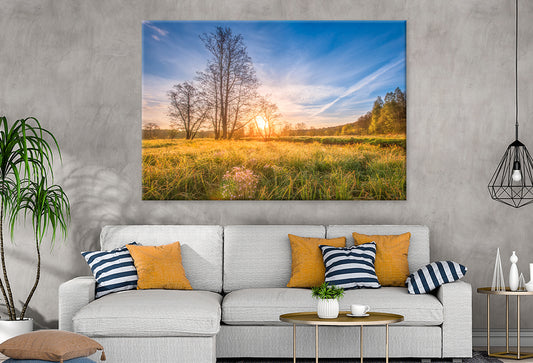Spring Meadow at Sunrise Wall Art Decor 100% Australian Made
