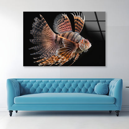 Close up Red Lionfish Acrylic Glass Print Tempered Glass Wall Art 100% Made in Australia Ready to Hang