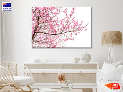 A Tree Full of Cherry Blossom Print 100% Australian Made