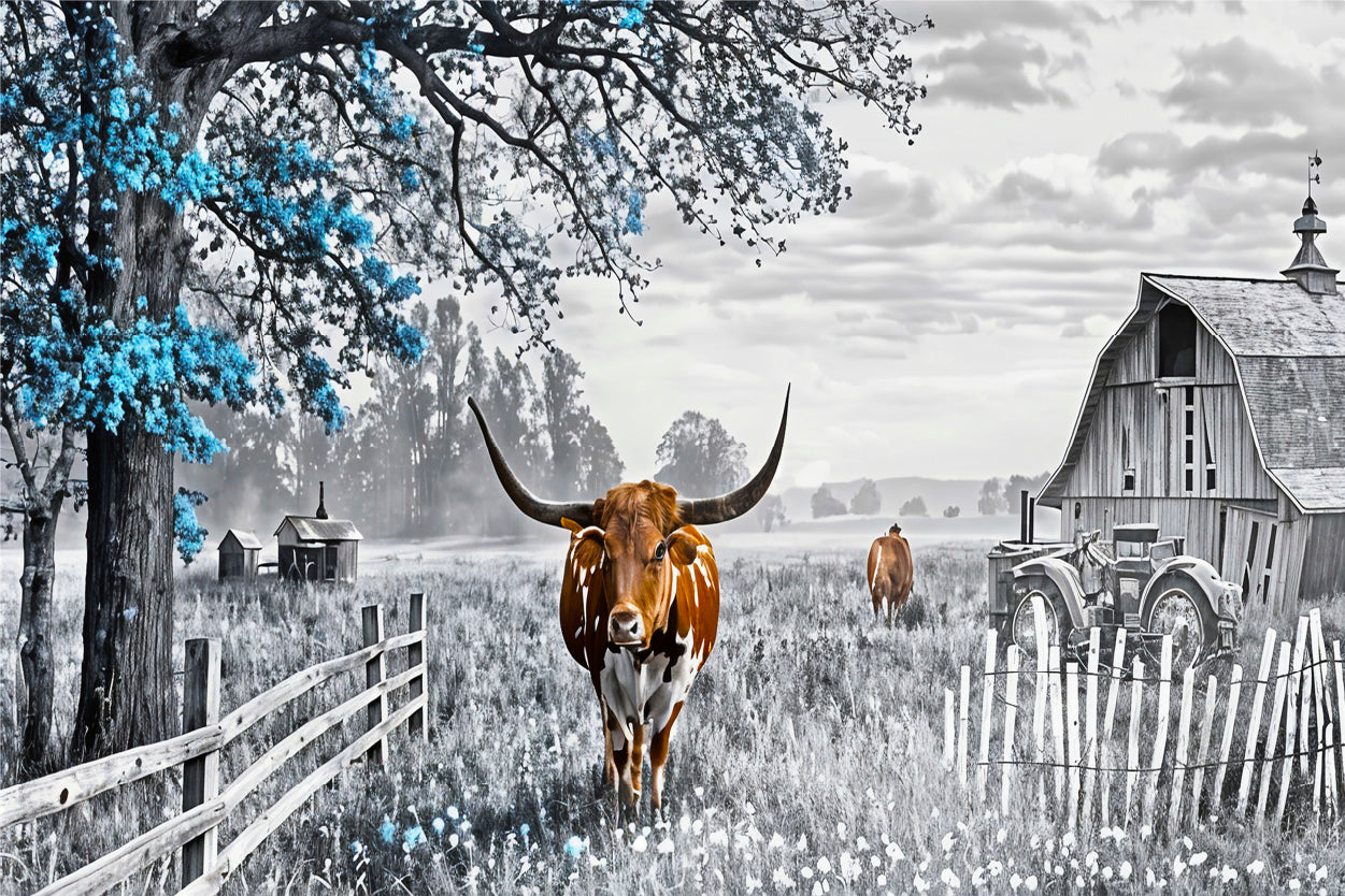 Black And White Highland Cow Farmhouse Wall Art Decor 100% Australian Made