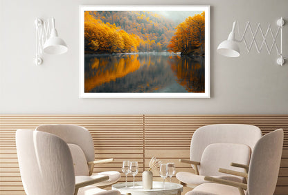 Serene Body of Water Surrounded by Trees in autumn Home Decor Premium Quality Poster Print Choose Your Sizes