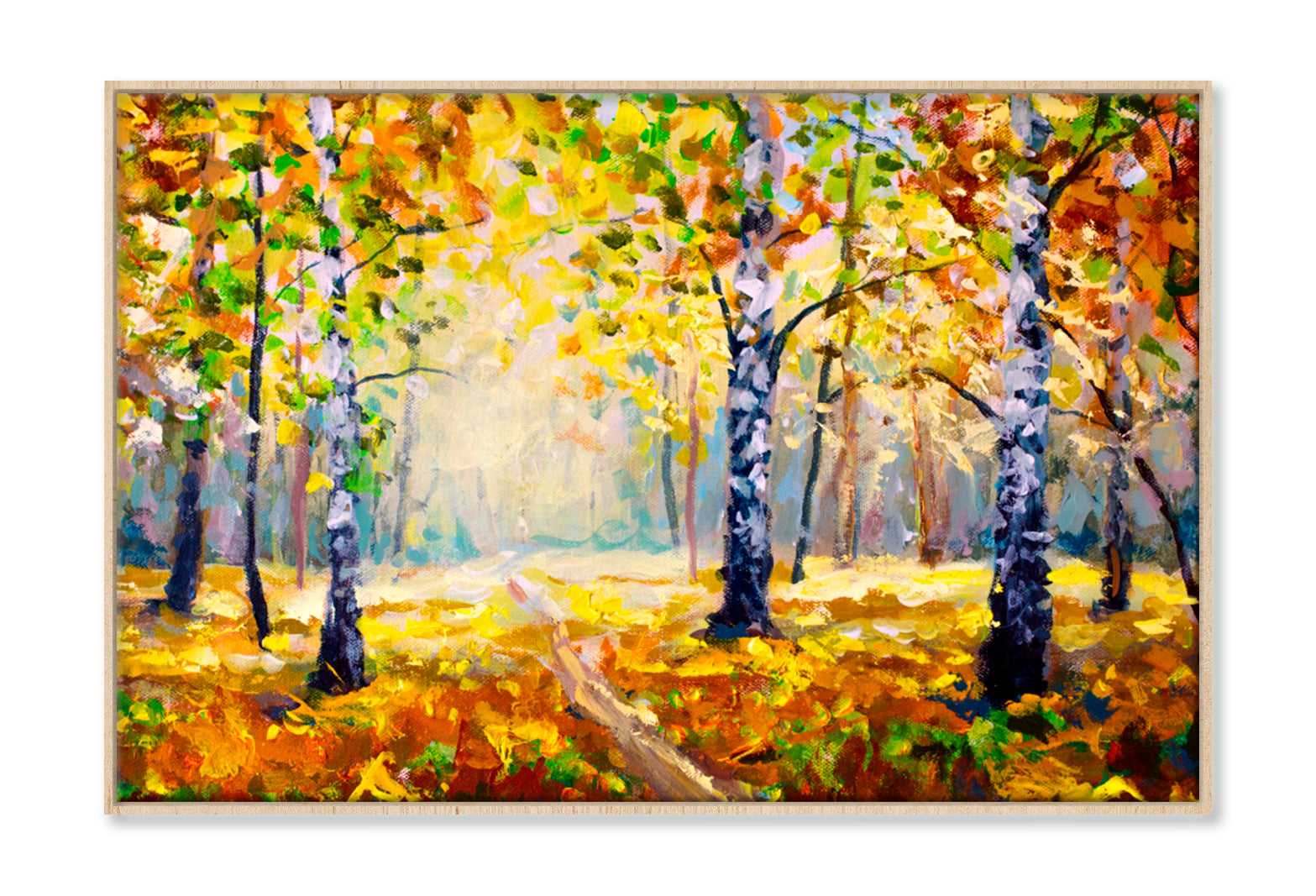 White Birch Trees In Autumn Forest Oil Painting Wall Art Limited Edition High Quality Print Canvas Box Framed Natural