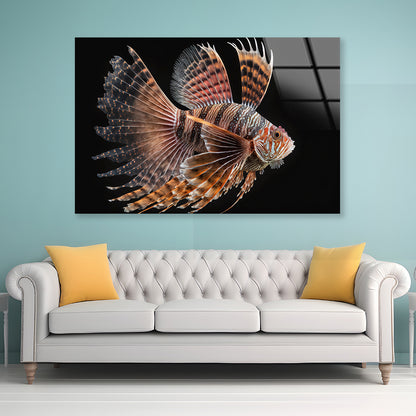 Close up Red Lionfish Acrylic Glass Print Tempered Glass Wall Art 100% Made in Australia Ready to Hang