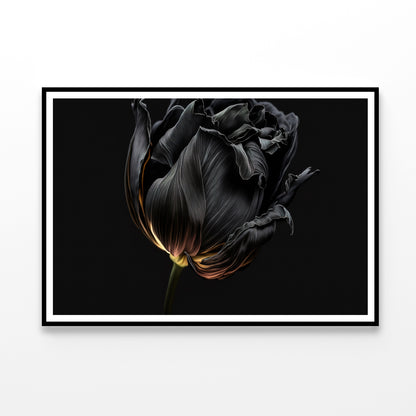 Striking Black Flower with a Vibrant Yellow Home Decor Premium Quality Poster Print Choose Your Sizes