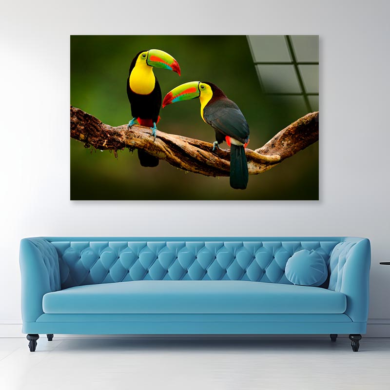 Toucan Sitting on The Branch in The Forest Acrylic Glass Print Tempered Glass Wall Art 100% Made in Australia Ready to Hang