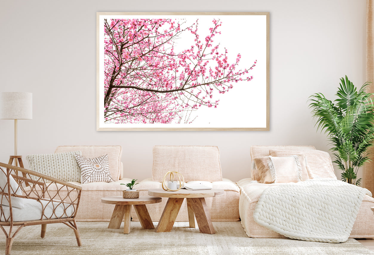 A Tree Full of Cherry Blossom Home Decor Premium Quality Poster Print Choose Your Sizes