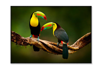 Toucan Sitting on The Branch in The Forest Home Decor Premium Quality Poster Print Choose Your Sizes