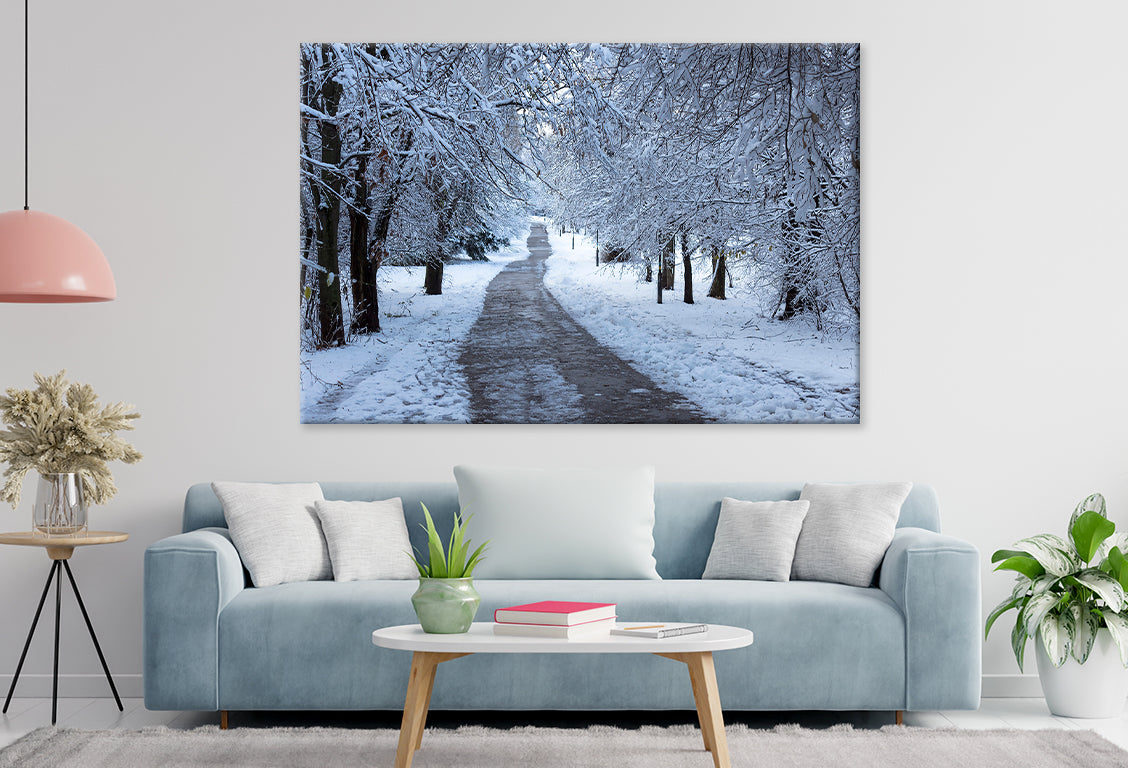 Winter Forest in South Park, Sofia Wall Art Decor 100% Australian Made
