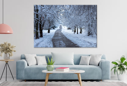 Winter Forest in South Park, Sofia Wall Art Decor 100% Australian Made