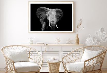 Black And White Photo of An Elephant Home Decor Premium Quality Poster Print Choose Your Sizes