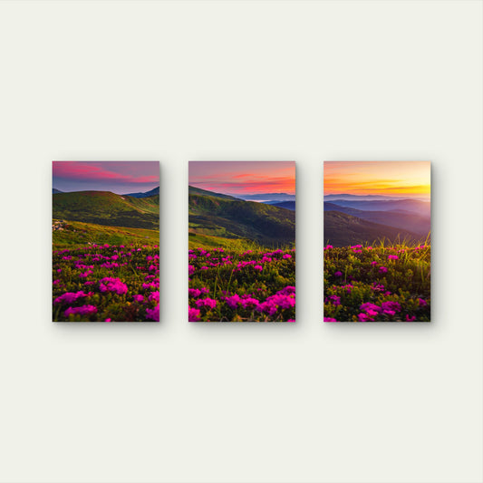 3pcs Wildflower Mountain Sunset Purple Field Wall Art Set Canvas Framed 50x70cm - High Quality Print 100% Australian Made Wall Canvas Ready to Hang