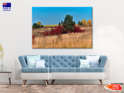 A Field Of Tall Grass With Trees an Autumn Vibe Print 100% Australian Made