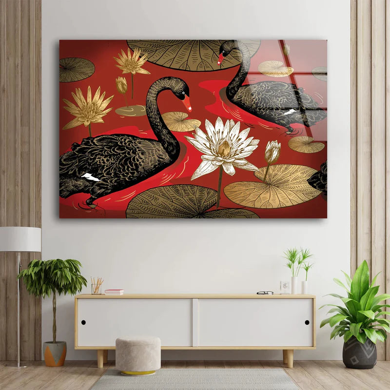 Black Swans on Lake UV Direct Aluminum Print Australian Made Quality