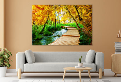 Wooden Trek Trail in Plitvice Wall Art Decor 100% Australian Made