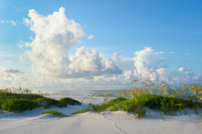 Early Morning Light on A Beautiful White Sand Beach of The Florida Gulf Coast Home Decor Premium Quality Poster Print Choose Your Sizes