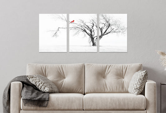 3pcs Winter White Black Tree with Red Bird Wall Art Set Canvas Framed 40x60cm - High Quality Print 100% Australian Made Wall Canvas Ready to Hang