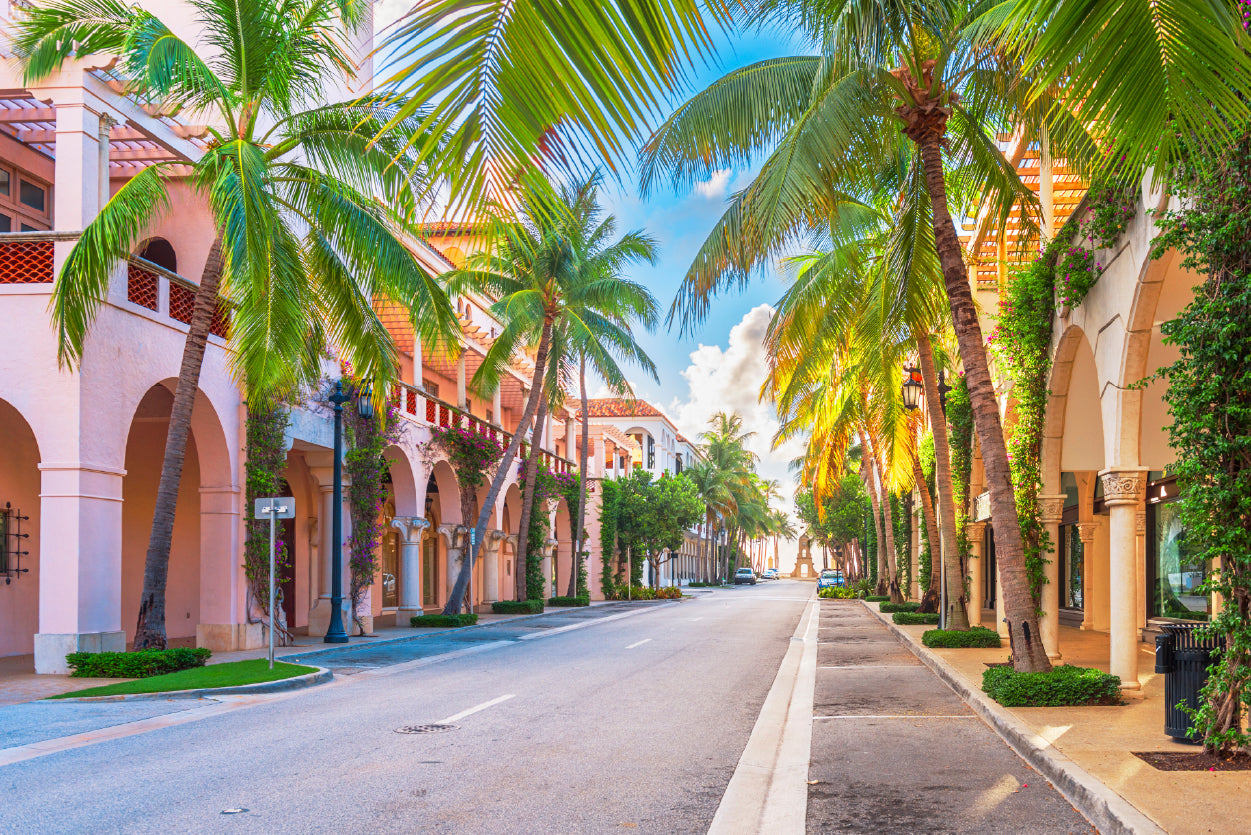 Palm Trees in Streets of Florida Home Decor Premium Quality Poster Print Choose Your Sizes