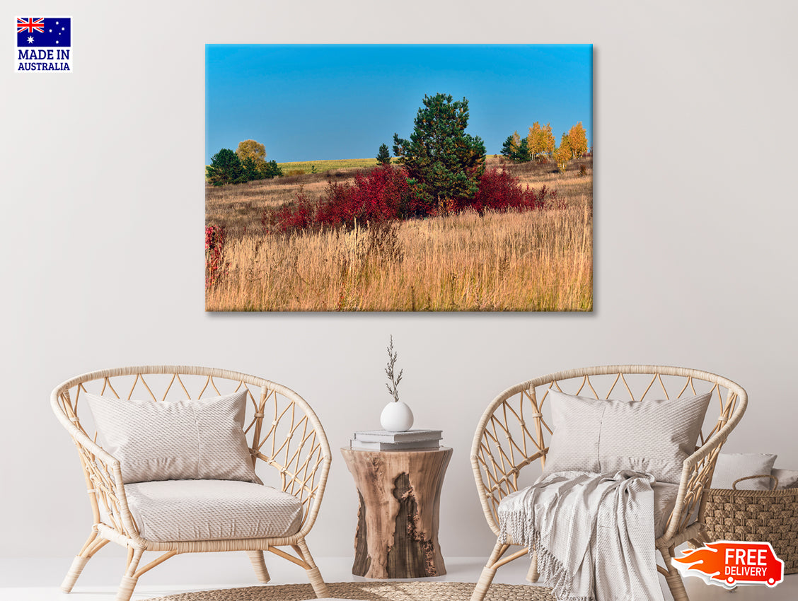 A Field Of Tall Grass With Trees an Autumn Vibe Print 100% Australian Made