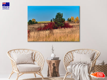 A Field Of Tall Grass With Trees an Autumn Vibe Print 100% Australian Made