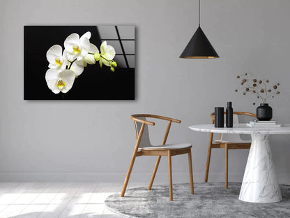 White Orchid Flowers UV Direct Aluminum Print Australian Made Quality