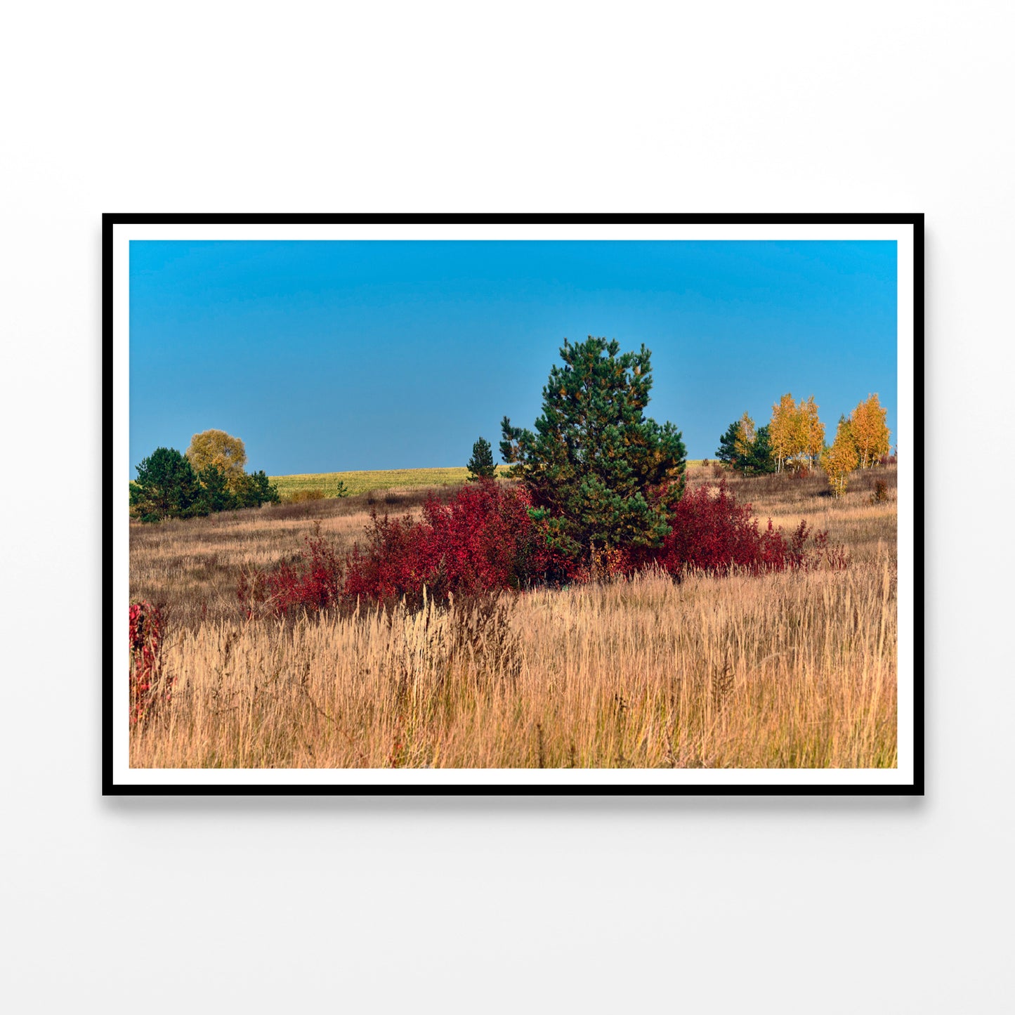 A Field Of Tall Grass With Trees an Autumn Vibe Home Decor Premium Quality Poster Print Choose Your Sizes