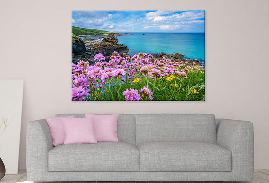 Pink Sea Thrift Flowers in St. Ives, Corn Wall Art Decor 100% Australian Made
