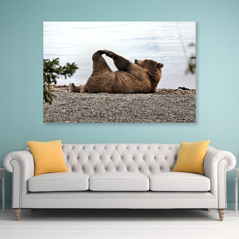 A Bear Stretches on The Beach in Katmai Acrylic Glass Print Tempered Glass Wall Art 100% Made in Australia Ready to Hang