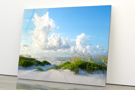 Early Morning Light on A Beautiful White Sand Beach of The Florida Gulf Coast Acrylic Glass Print Tempered Glass Wall Art 100% Made in Australia Ready to Hang