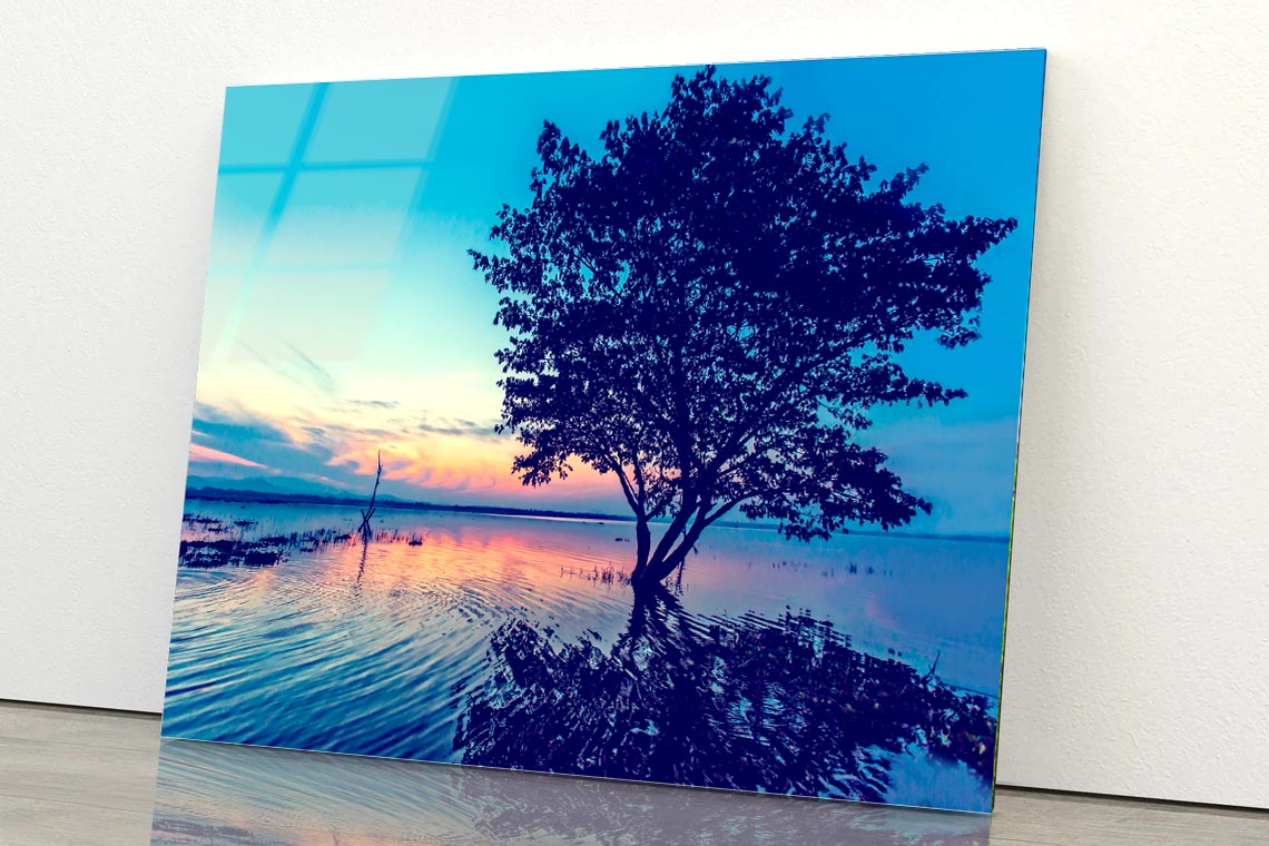 Silhouette of Trees in the Lake Acrylic Glass Print Tempered Glass Wall Art 100% Made in Australia Ready to Hang