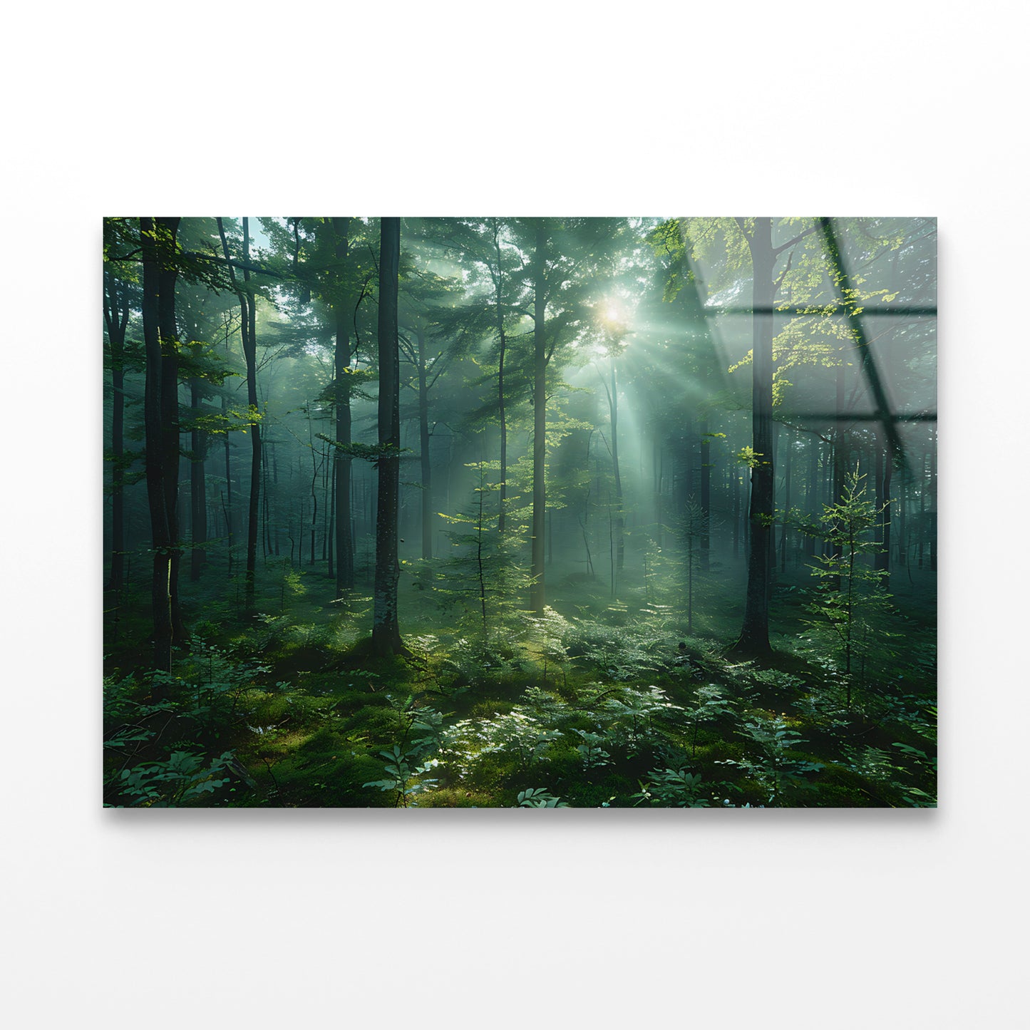 Forest with Sunrise View Acrylic Glass Print Tempered Glass Wall Art 100% Made in Australia Ready to Hang