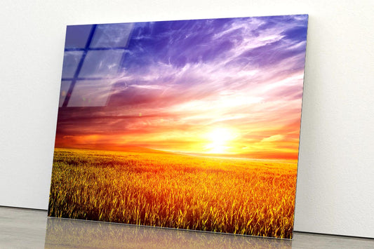 Green Field with Sky Acrylic Glass Print Tempered Glass Wall Art 100% Made in Australia Ready to Hang